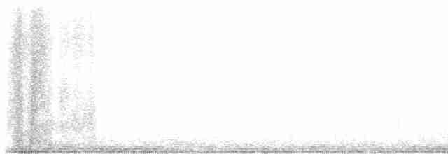 Сова плямиста - ML618147801