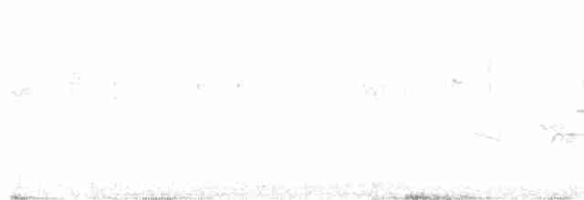 Синьохвіст рудоволий - ML618148142