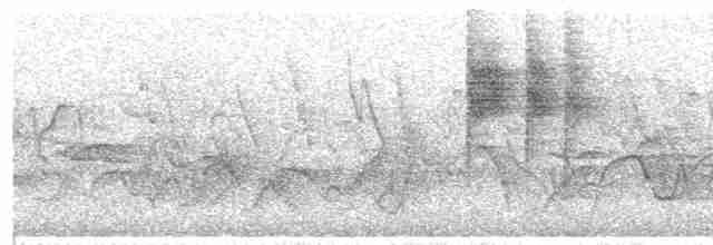 Филиппинская мухоловка - ML618148513