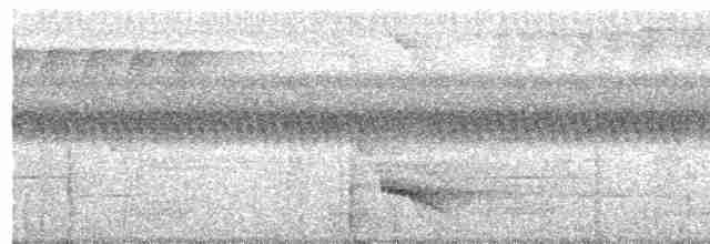 Синешапочный зимородок - ML618148691