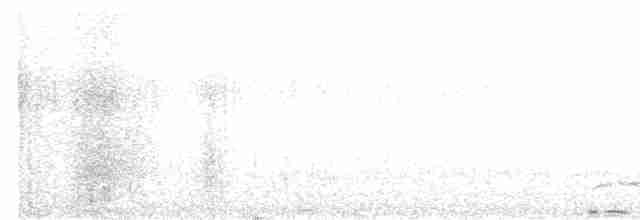 Büyük Atmaca Guguğu - ML618149001