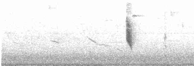 Свертушка маскова - ML618150688