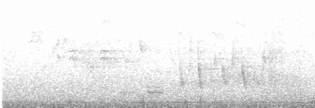 Papağan Gagalı Tohumcul - ML618150694
