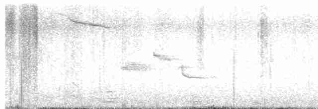 Çam Baştankarası (britannicus/hibernicus) - ML618150945