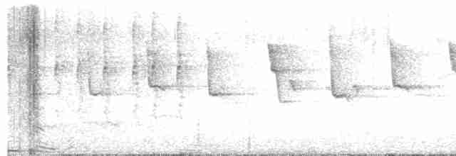 Common Chiffchaff (Common) - ML618151416