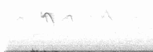 Черногорлый астрильд - ML618151631
