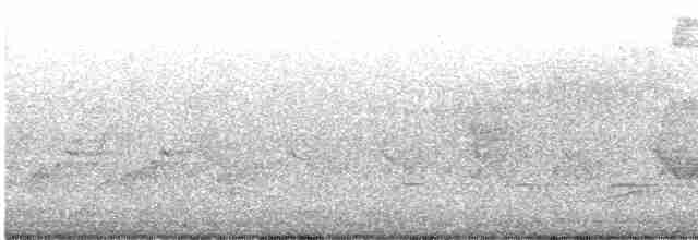 Reinita Protonotaria - ML618151835