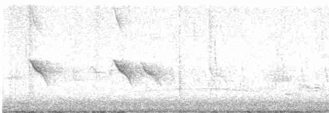 Evening Grosbeak (type 1) - ML618151861