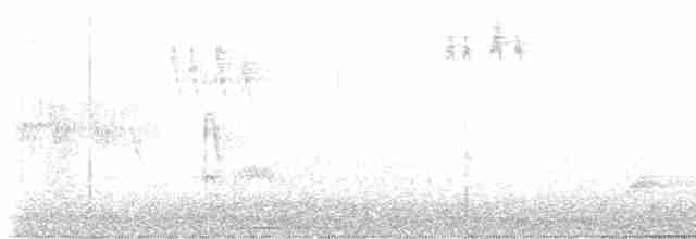 rorýs srpokřídlý - ML618152115