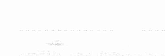 Toucan à ventre rouge - ML618152857
