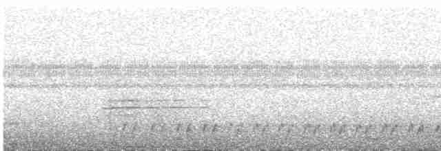 Сичик-горобець перуанський - ML618152862