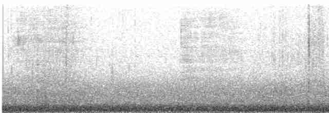 Great Egret - ML618152990