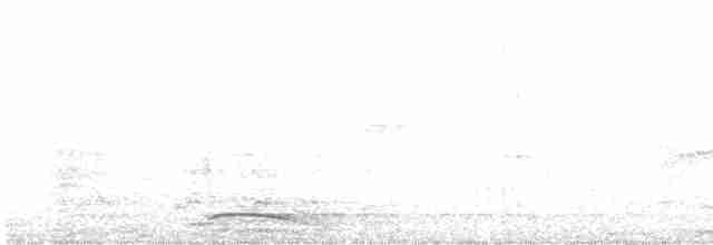 halsbåndskogfalk - ML618153516