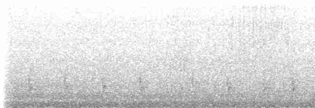 Gray-breasted Wood-Wren - ML618153799