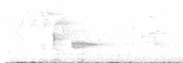 Чернокрылая пиранга - ML618153893