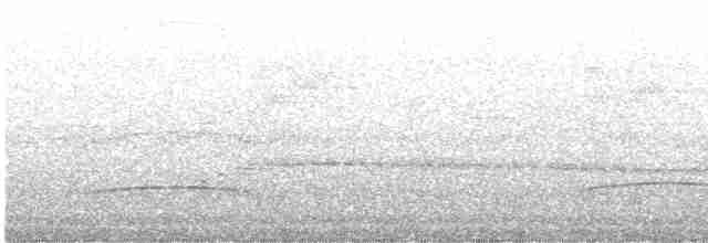 Uzun Gagalı Bitkuşu [rufiventris grubu] - ML618154054