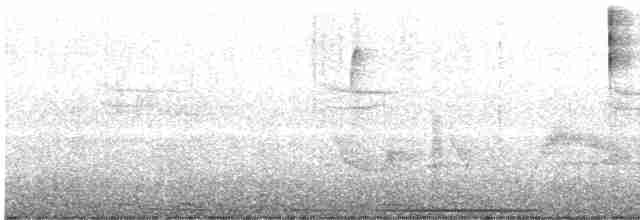 holub bledočelý - ML618154071