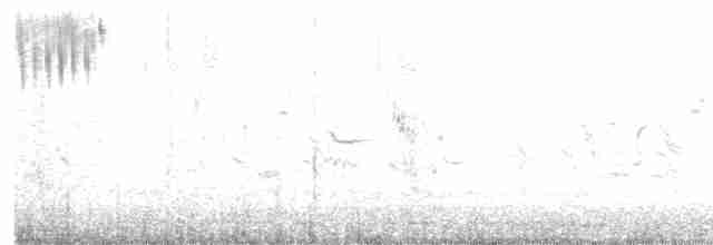 Кузнечиковая овсянка-барсучок - ML618154188