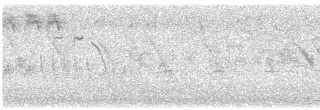 דוחל שחור-גרון - ML618154391