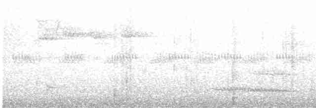 trogon límcový (ssp. aurantiiventris/underwoodi) - ML618154585