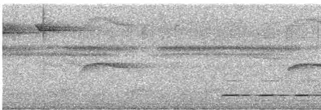 Сичик-горобець буроголовий - ML618155005