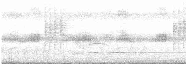 Поплітник коста-риканський - ML618155128