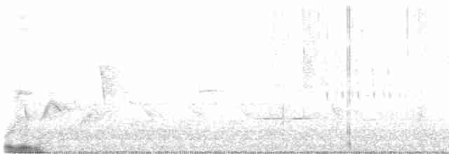 Белоглазый виреон - ML618155165
