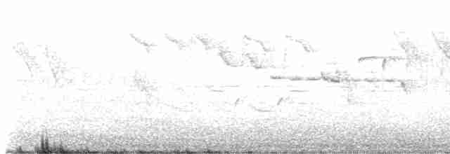Eurasian Wren - ML618155348