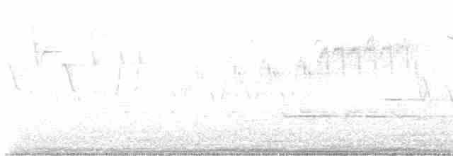 Червоїд сіроголовий - ML618155667