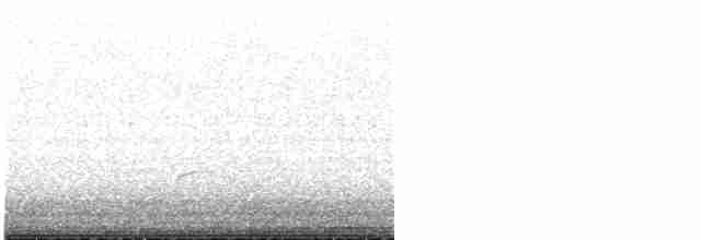 Дрізд-короткодзьоб Cвенсона - ML618156014