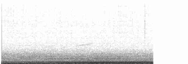 Дрізд-короткодзьоб Cвенсона - ML618156023