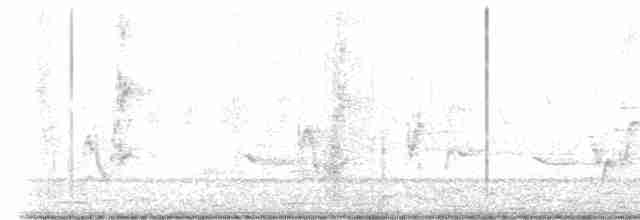 Пересмішник сірий - ML618156133