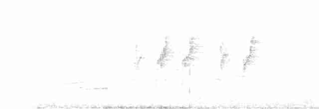 Çivit Kanatlı Serçe Papağanı - ML618156609