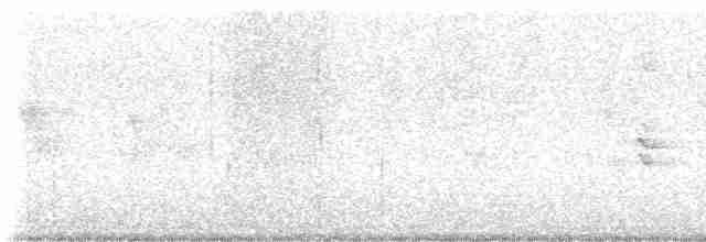 Длинноклювый пересмешник - ML618157325