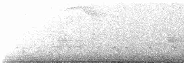 "Шишкар ялиновий (Northeastern, або тип 12)" - ML618160783