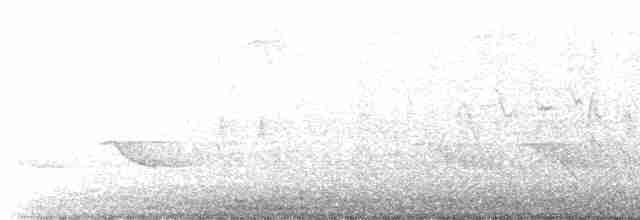 "Шишкар ялиновий (Northeastern, або тип 12)" - ML618160784