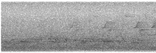 Euli-txori papargorria - ML618160848