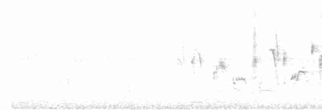 pěnice hnědokřídlá - ML618162152