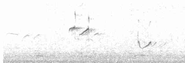 Archibebe Oscuro - ML618162469