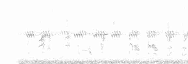 Sperbergrasmücke - ML618162508