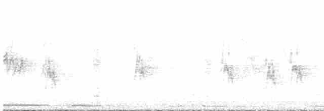 holub hřivnáč - ML618163549