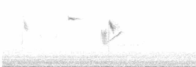 Gray Wagtail - ML618163589