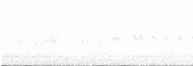 Gray Wagtail - ML618163636