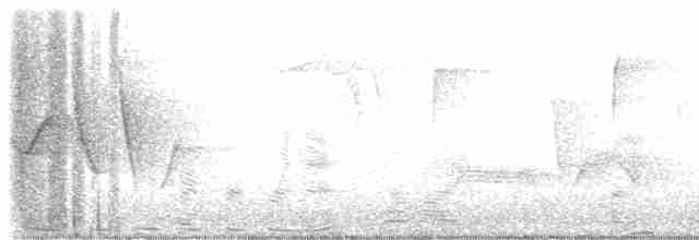 Трясогузковый певун - ML618164043