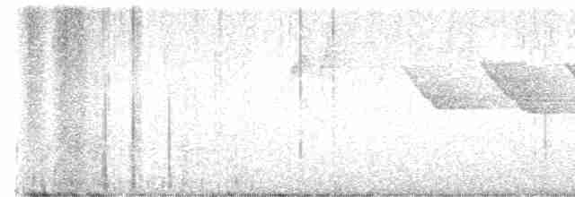 Трясогузковый певун - ML618164201