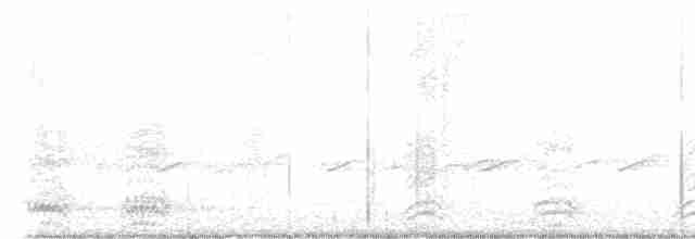Cuervo Grande - ML618164720