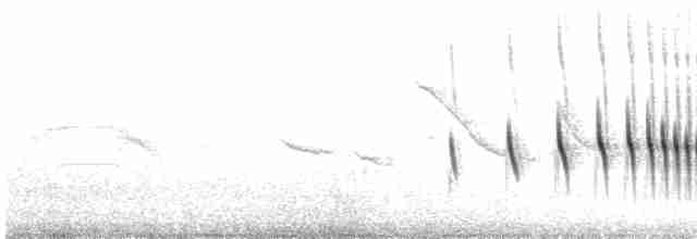 Анумбі смугастоголовий - ML618164917