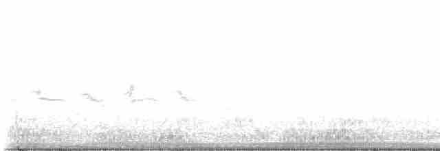 Kaya Çıtkuşu - ML618165703