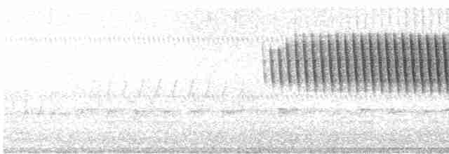 Cırcır Sesli Serçe - ML618165715
