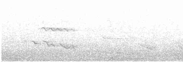Черноклювый попугаевый виреон - ML618165724